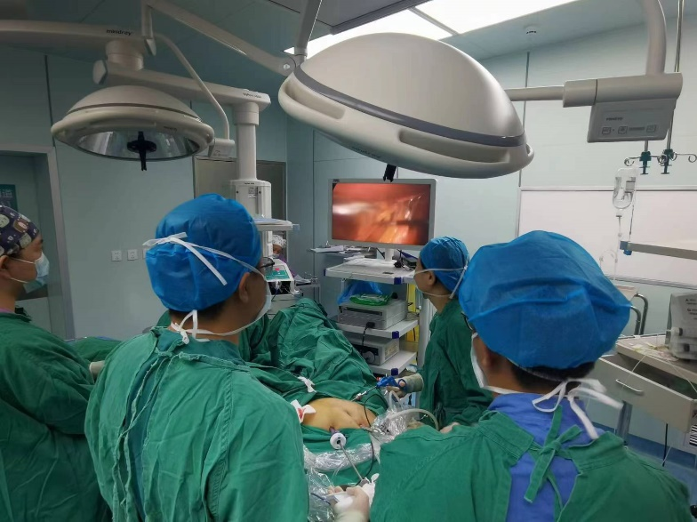 19.1妇科腹腔镜下子宫内膜癌全面分期手术.png